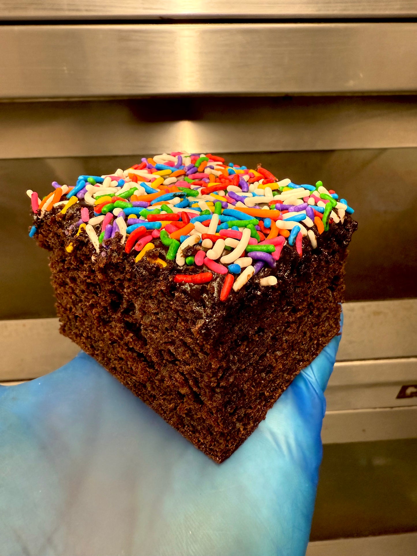 'New School' Chocolate Sprinkle Snack Cake