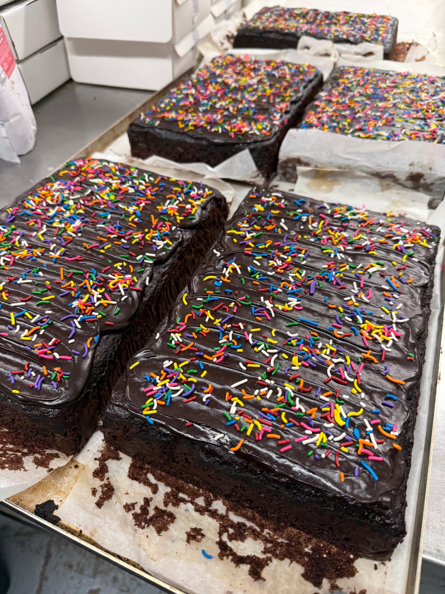 'New School' Chocolate Sprinkle Snack Cake
